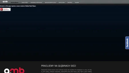 Amb Netmedia sp. z o.o.